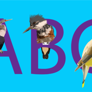 American Bird Collection